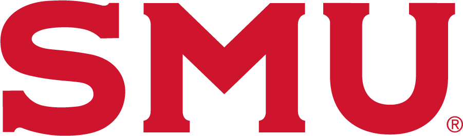 Southern Methodist Mustangs 2021-pres wordmark logo v2 diy iron on heat transfer